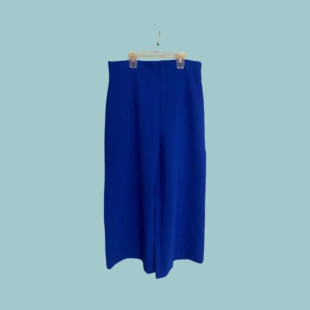 Zara blue pleated wide leg pants
